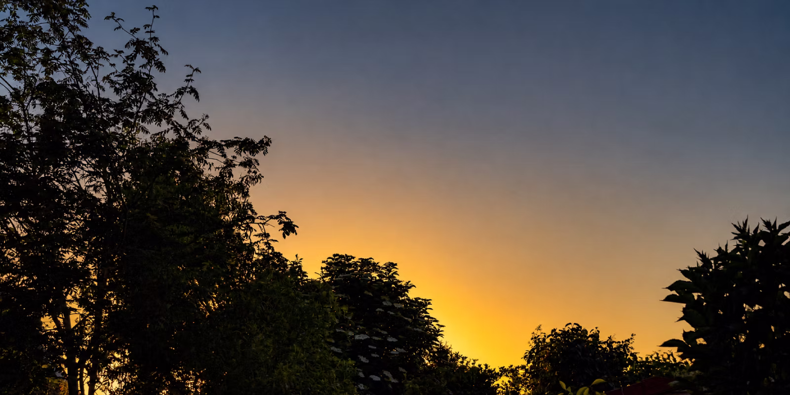 Uitzicht op bomen en avondlucht vanuit een ligstoel tijdens een warme zomeravond