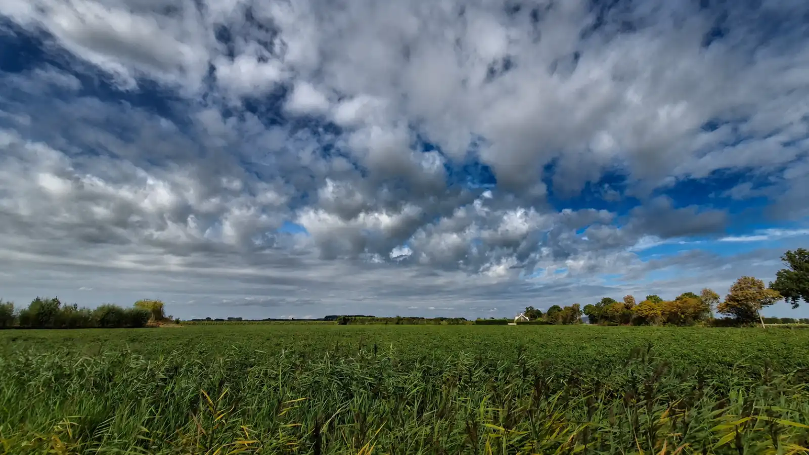 Even wat meer wolken