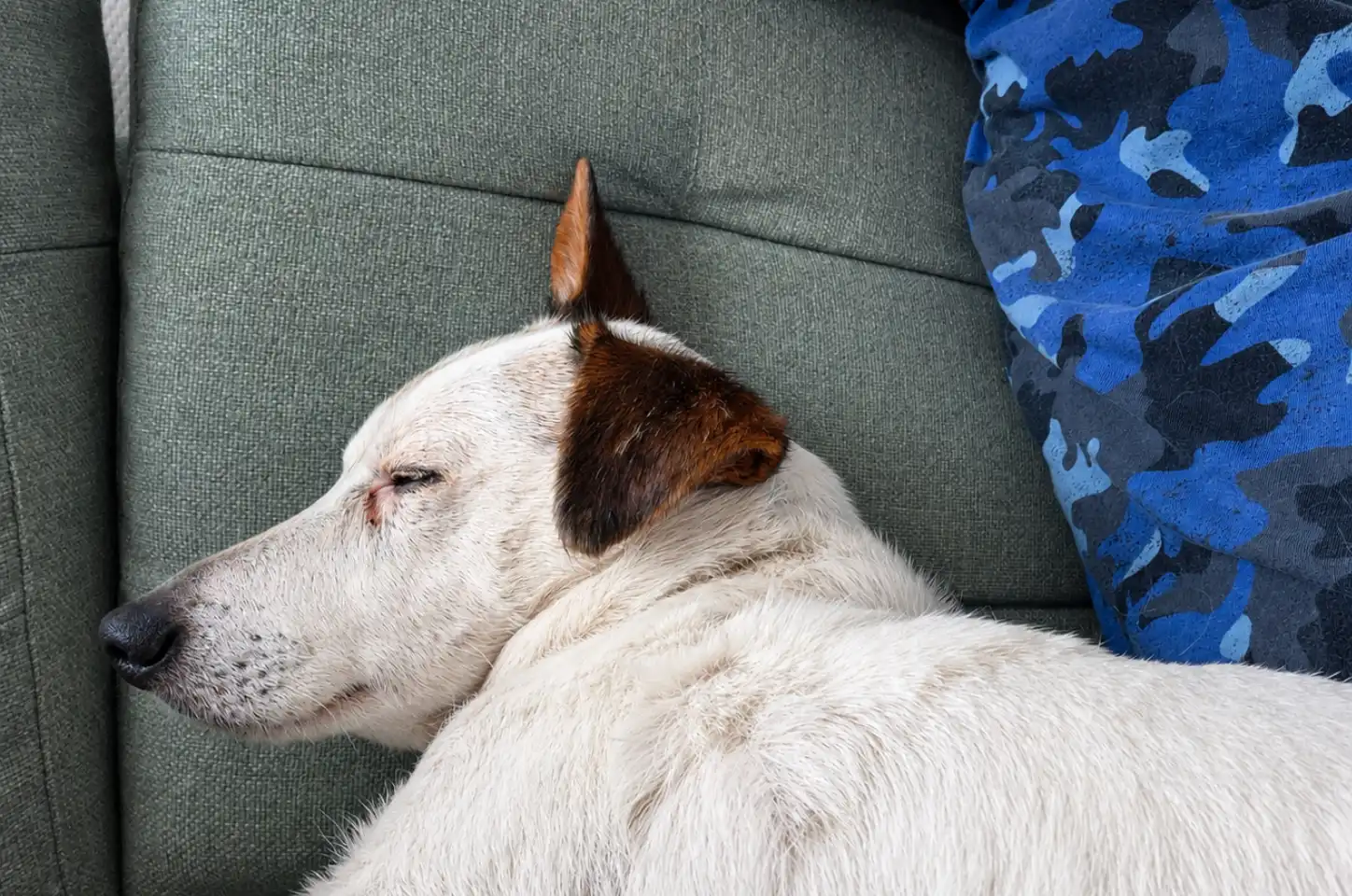 Bentley bepaalt wanneer het tijd is om naar huis te gaan