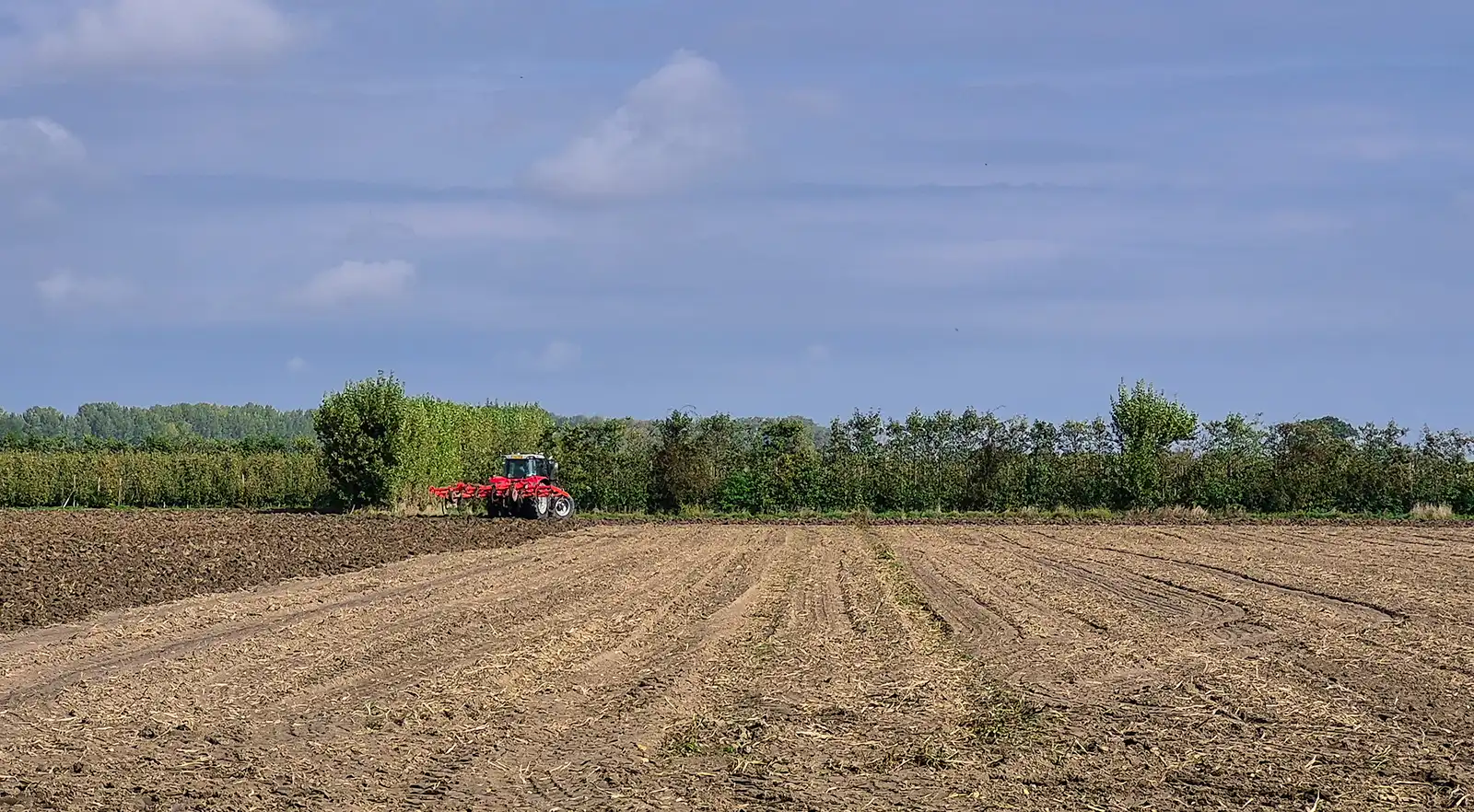 Boodschappen, prikkels en droge klei